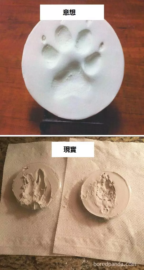12個讓我笑噴「意想中VS現實中」的超失敗DIY作品,#3 就算用一千顆蛋也不會成功刻出來