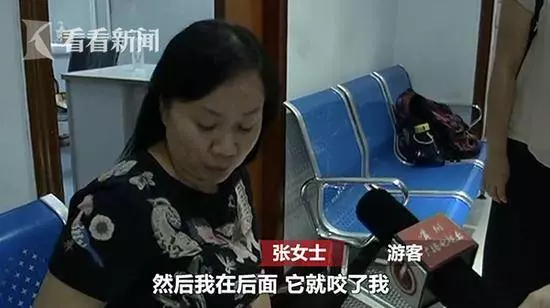 猴子突然竄進4樓居民家中 撕咬正熟睡的2歲幼童