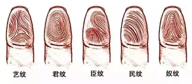 指紋幾個斗,代表什麼命?爆准!