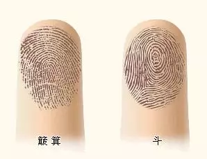 指紋幾個斗,代表什麼命?爆准!