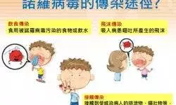 口腔潰瘍不能進食怎麼辦呢?把大蒜皮放進嘴裡,不花一分錢就不疼了