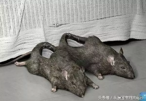 22雙「史上最變態高跟鞋」,看著就害怕還要怎麼穿,Lady Gaga那雙好惡心設計者是怎麼想的?