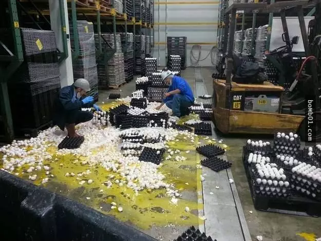 29個會讓你覺得「自己其實很幸運嘛」的衰爆倒楣鬼▼5 該慶幸裡面的不是尿嗎…