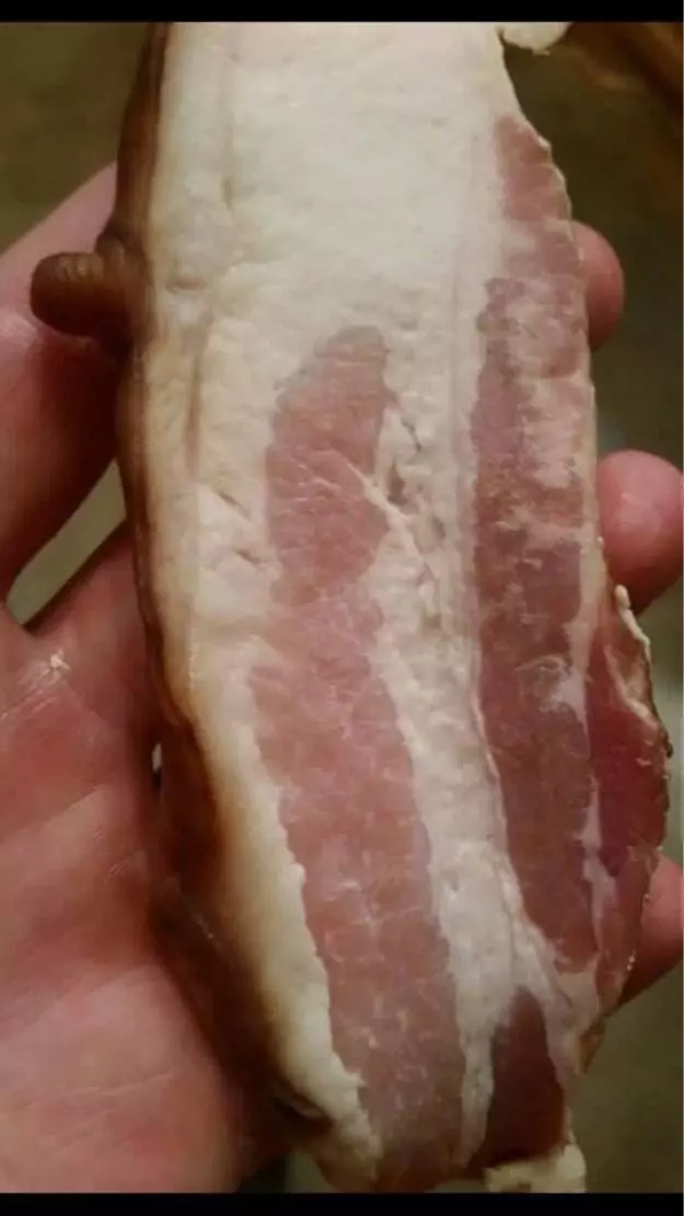 19個「會讓你的大腦完全無法理解」的超WTF食物 #18賺到一條超長超長的炸薯條