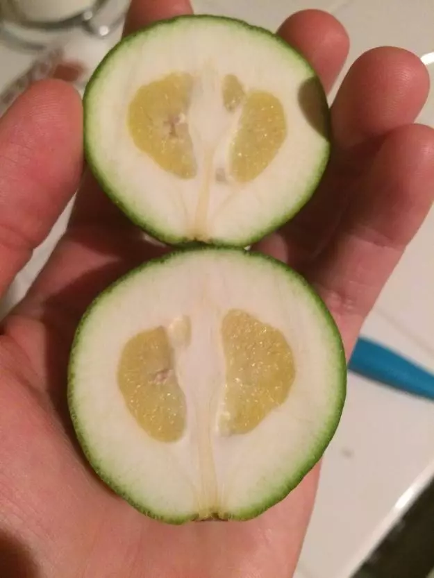 19個「會讓你的大腦完全無法理解」的超WTF食物 #18賺到一條超長超長的炸薯條
