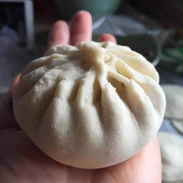 教你在家做13款肉包子做法,香嫩鬆軟,一咬就出汁,飯店裡吃不到