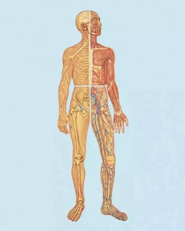 99%的人都不知道的25個「人體恐怖」冷知識!