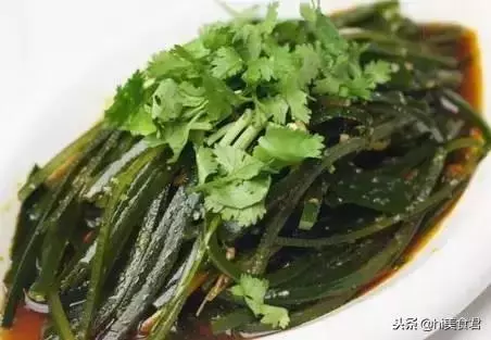 家中必備的30道涼拌菜做法,簡單健康又解饞,新手也能完美駕馭!