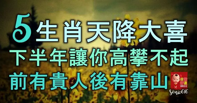 5生肖天降大喜,下半年讓你高攀不起,前有貴人,後有靠山