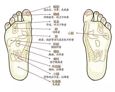 這種腳相的人最好命快看看自己是嗎?