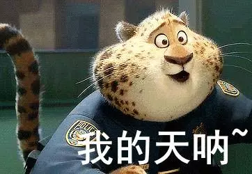 你的陽曆生日,看出你的性格對應什麼動物
