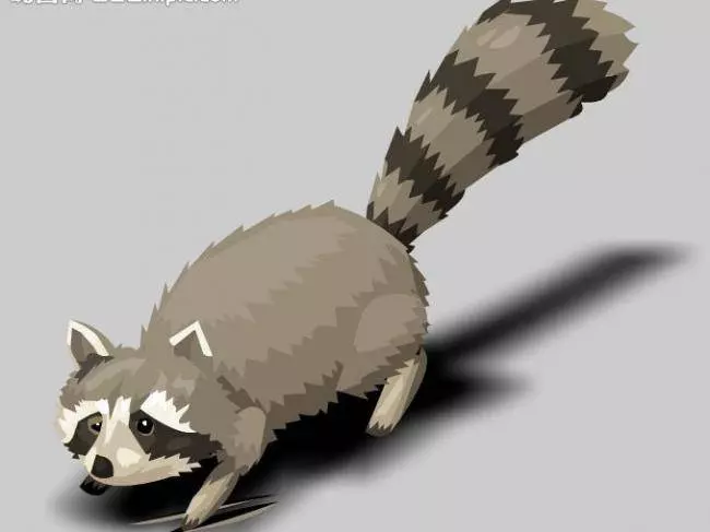 你的陽曆生日,看出你的性格對應什麼動物