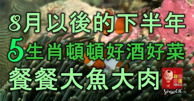 8月以後的下半年,5大生肖頓頓好酒好菜,餐餐大魚大肉