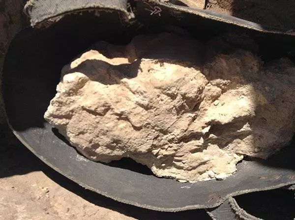 埃及出土3200年前芝士 含可致命惡菌
