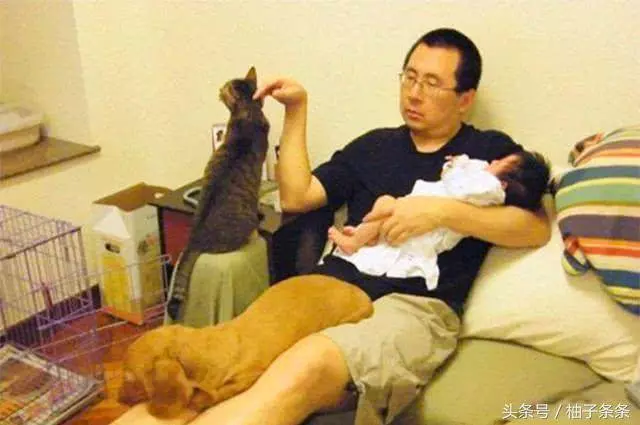 測試一下,你家狗狗是不是真的愛你,全佔了就是真愛