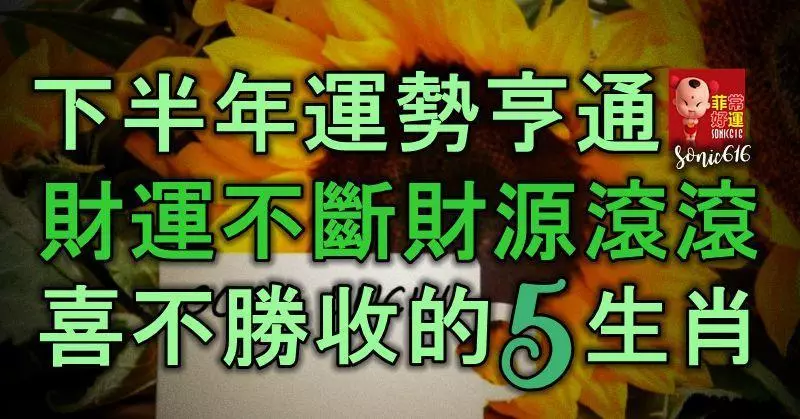 下半年運勢亨通,財運不斷,財源滾滾,喜不勝收的5大生肖