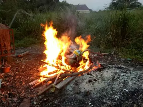公然燒死豬,味道噁心華都村臭爆,導致太多人患癌,村民不忍了!【內有燒死豬視頻】