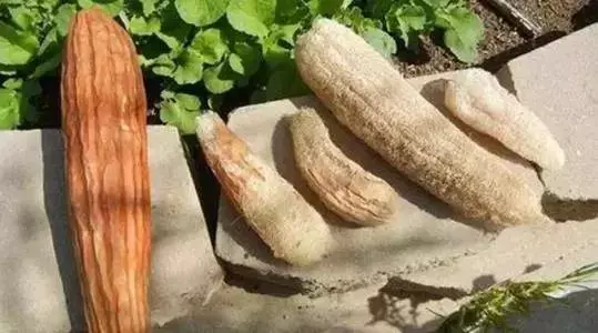 每天雙腳這樣拍10分鐘,效果比泡腳有效