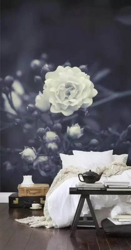 以後裝修不要再貼壁紙了!來看看人家是怎樣弄的,太漂亮了!!