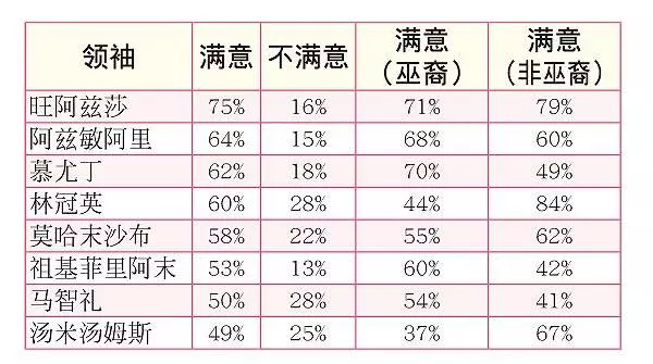 民調:林冠英 84%非馬來族群滿意 44%馬來族群不滿