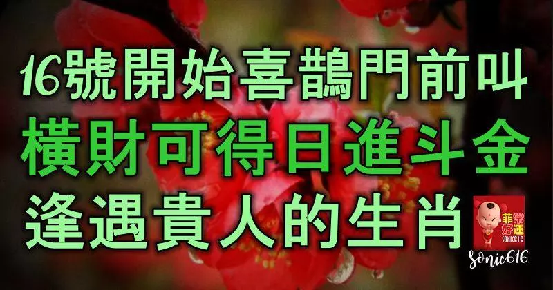 16號開始喜鵲門前叫,橫財可得,日進斗金,逢遇貴人的生肖
