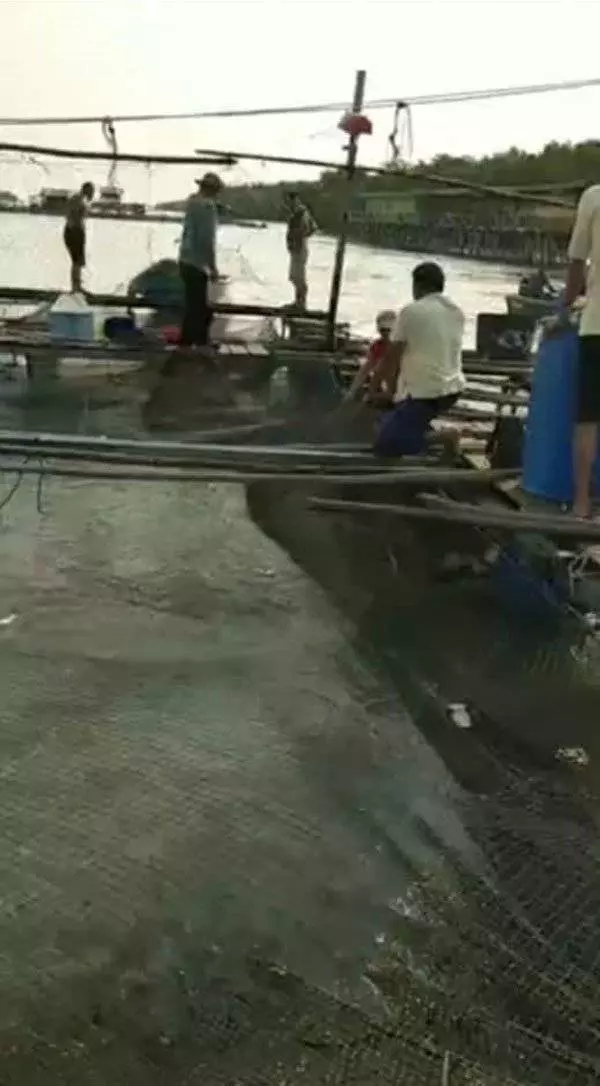 家人盼不到奇蹟 少年陳賜健證實溺斃