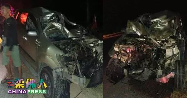 另類車禍 4野象走夜路 踩毀途經轎車