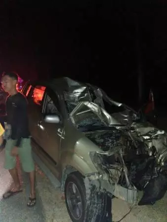 另類車禍 4野象走夜路 踩毀途經轎車