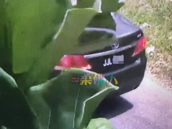 圖破門行竊觸動警鈴 2男子落荒而逃
