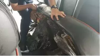 又一大馬男子在新加坡兀蘭關卡被捕，整輛車藏滿菸草