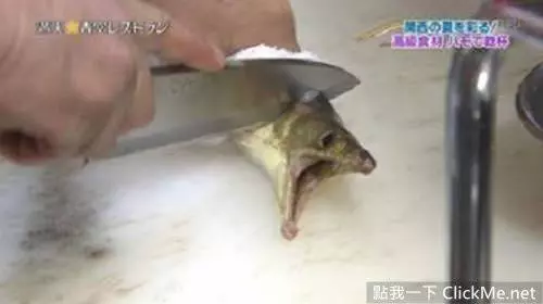 日本人的《爆笑日常生活》,奇蹟總是出現在那一瞬間