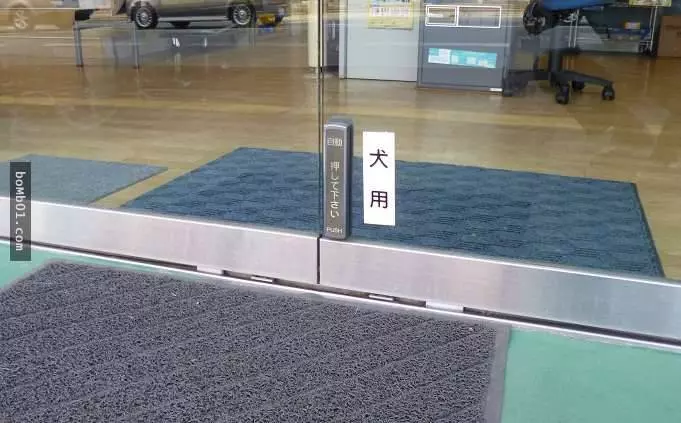 這家店在電動門安裝了一個「犬用」按鍵,只要有客人走到門口…店家的萌犬就會跑過來服務