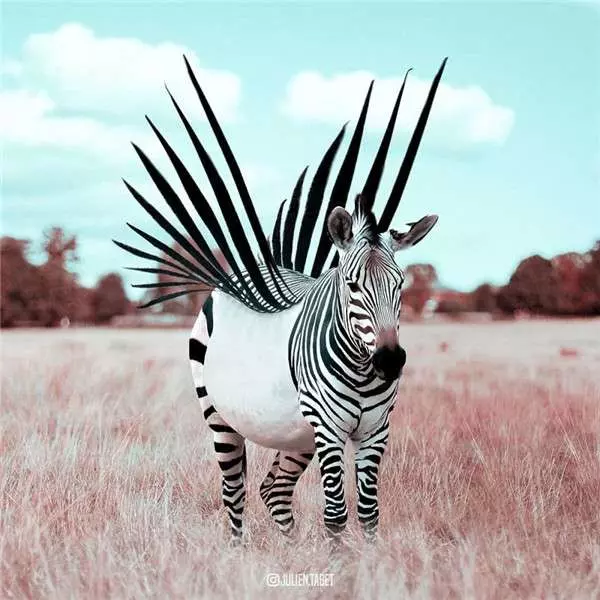 希望會成真的「魔幻動物世界」 法國藝術家靠PS實現腦子裡的想像 - PageCup