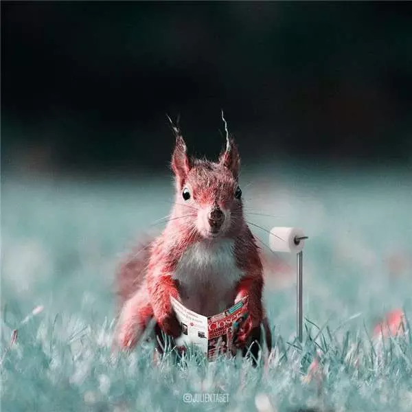 希望會成真的「魔幻動物世界」 法國藝術家靠PS實現腦子裡的想像 - PageCup