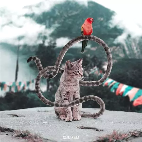 希望會成真的「魔幻動物世界」 法國藝術家靠PS實現腦子裡的想像 - PageCup