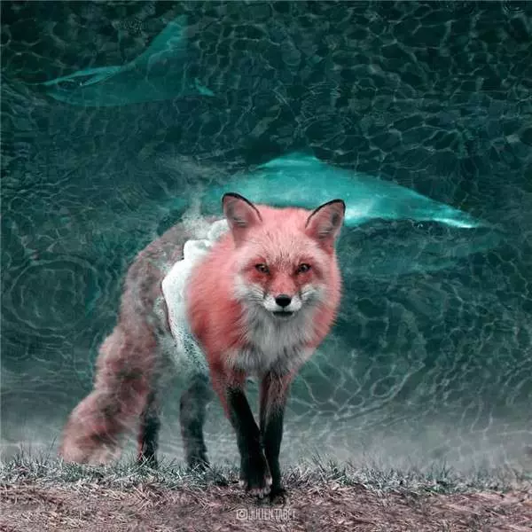 希望會成真的「魔幻動物世界」 法國藝術家靠PS實現腦子裡的想像 - PageCup