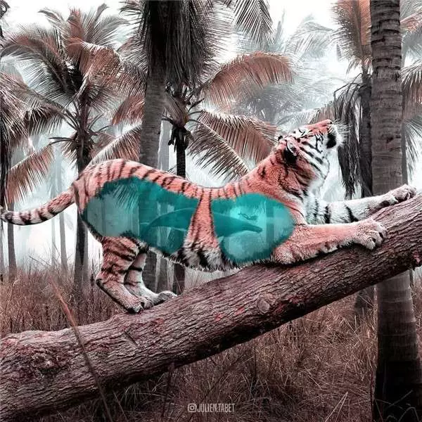 希望會成真的「魔幻動物世界」 法國藝術家靠PS實現腦子裡的想像 - PageCup