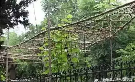 巨星李連杰上億豪宅都不要住!花兩年裝修後就給保全住了~ 網民:最貴員工宿舍!!