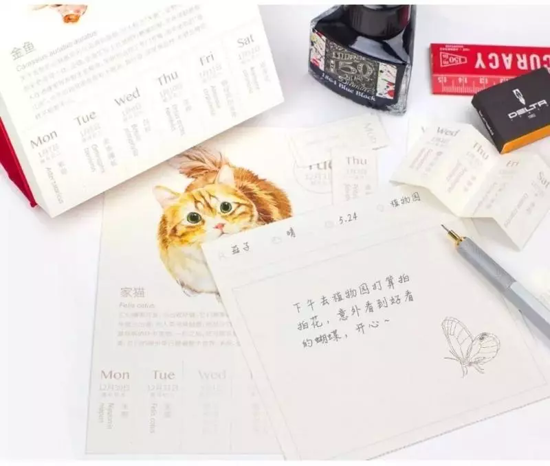 讓2019年天天都是好心情~ 介紹7款「詢問度最高」的設計款日曆 - PageCup