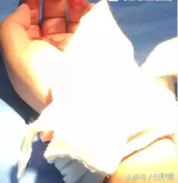 我們愛狗,但絕不做這種「愛狗人士」