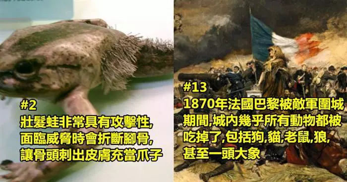 22個會讓你極度不舒服的冷知識 #3在一年裡有超過600位病人在動手術時著火