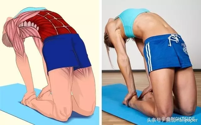 筋長一吋,延壽十年!18個「全身不再腰酸背痛」的全身拉筋教學...#2低頭族必學!