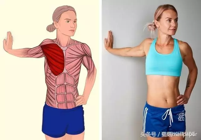 筋長一吋,延壽十年!18個「全身不再腰酸背痛」的全身拉筋教學...#2低頭族必學!