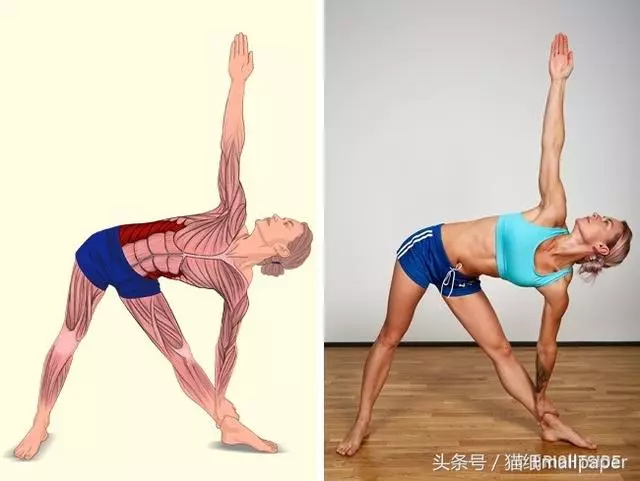筋長一吋,延壽十年!18個「全身不再腰酸背痛」的全身拉筋教學...#2低頭族必學!