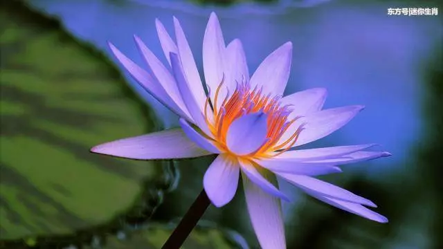 8月8號富貴滿門,6生肖八八大發,不愁吃喝不愁穿