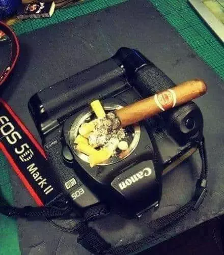 30張挑戰你忍耐力的超極致照片~~~ #1 好惡心這團是什麼東西啊?