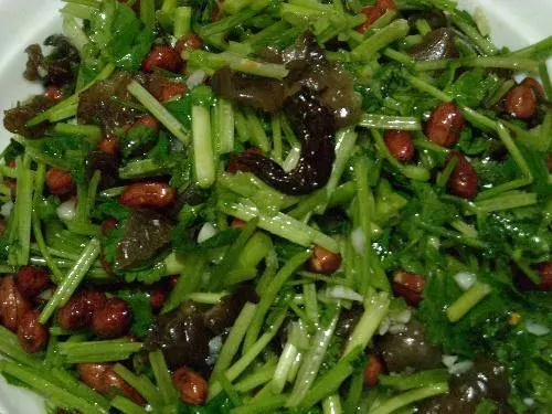 原來香菜除了吃還有降壓、洗腎的功效現在知道還不晚