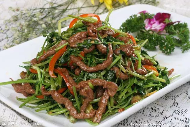 原來香菜除了吃還有降壓、洗腎的功效現在知道還不晚