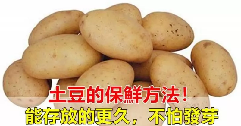 土豆吃不完容易發芽變青?教你這樣保存,能新鮮的時間更久,而且不發芽