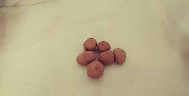 土豆吃不完容易發芽變青?教你這樣保存,能新鮮的時間更久,而且不發芽